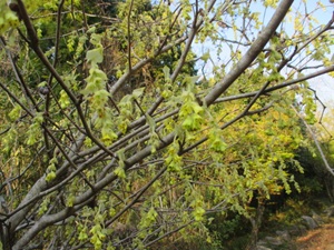 �g�T�~�Y�L