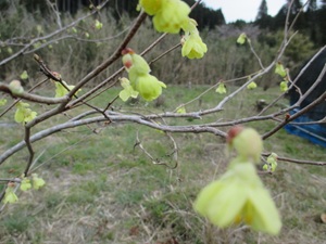 �q���E�K�~�Y�L